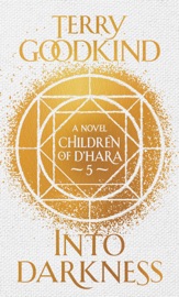 Into Darkness - Terry Goodkind