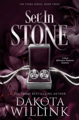 Set in Stone by Dakota Willink book