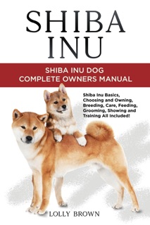 Shiba Inu by Lolly Brown