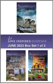 Love Inspired Suspense June 2023 - Box Set 1 of 2 - Terri Reed, Sharon Dunn & Jordyn Redwood