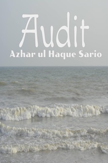 Audit by Azhar ul Haque Sario