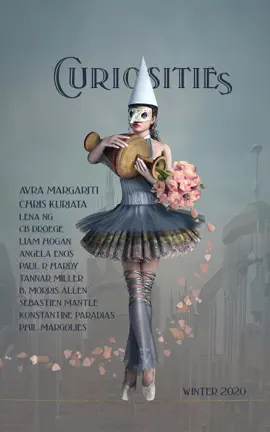 Read: Curiosities #8 : Book Uncategorized Collections
