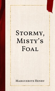 Stormy, Misty’s Foal