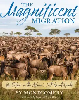 The Magnificent Migration
