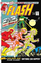 The Flash (1959-1985) #216 - Cary Bates, Steve Skeates, John Broome, Irv Novick, Dick Dillin & Lee Elias