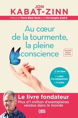 Read: Au cœur de la tourmente Book la pleine conscience