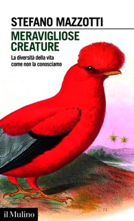 Meravigliose creature by Stefano Mazzotti