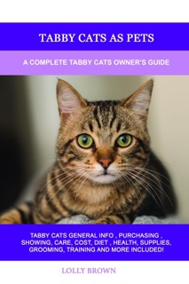 Tabby Cats as Pets by Lolly Brown