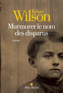 Murmurer le nom des disparus by Etienne Gomez & Rohan Wilson