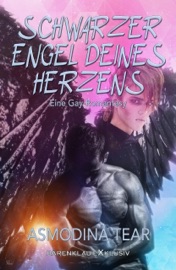 Schwarzer Engel deines Herzens - Eine Gay-Romantasy - Asmodina Tear