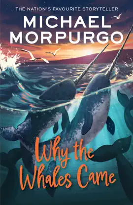 Read: Why the Whales Book Came