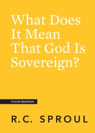 What Does It Mean That God Is Sovereign? - R.C. Sproul