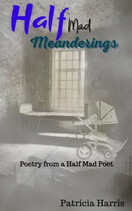 Read: Book Half-Mad Meanderings
