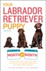 Book Your Labrador Retriever Puppy Month by Month, 2nd Edition