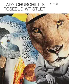 Read: Lady Churchill’s Rosebud Wristlet No. Book 47
