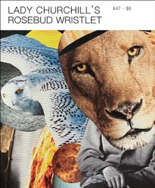 Lady Churchill’s Rosebud Wristlet No. 47 - Kelly Link & Gavin J. Grant