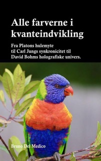 Alle farverne i kvanteindvikling. Fra Platons hulemyte til Carl Jungs synkronicitet til David Bohms holografiske univers. by Bruno Del Medico