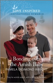Bonding over the Amish Baby - Pamela Desmond Wright