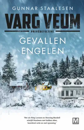Read: Book Gevallen engelen