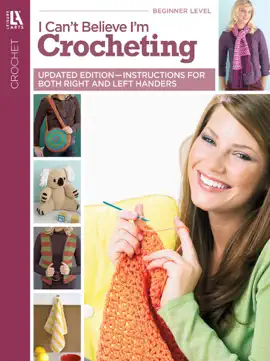 I Can't Believe I'm Crocheting (Leisure Arts #4061)