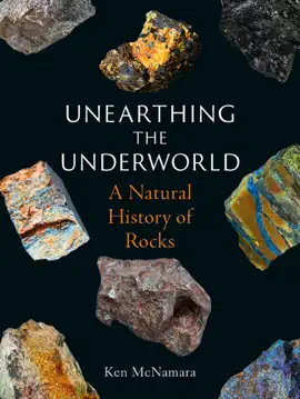 Read: Unearthing the Book Underworld