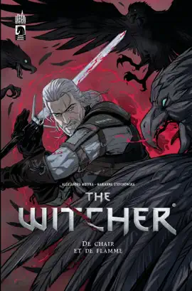 Read: The Book Witcher - De chair et de flammes