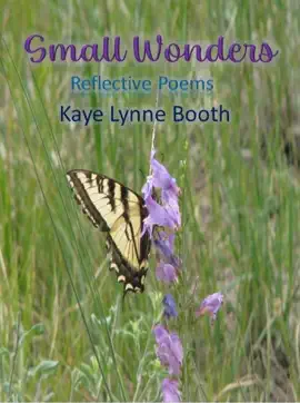 Read: Small Book Wonders