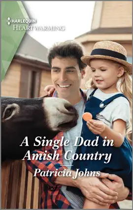 Read: A Single Book Dad in Amish Country