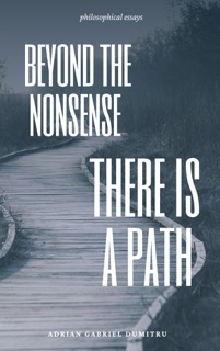 Beyond the nonsense by Adrian Gabriel Dumitru
