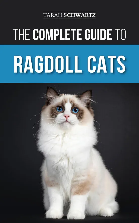 The Complete Guide to Ragdoll Cats