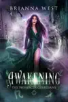 Awakening by Brianna West Book Summary, Reviews and Downlod