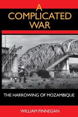 A Complicated War
