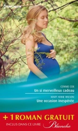 Un si merveilleux cadeau - Une occasion inespérée - Une rencontre improbable - Connie Cox & Mary Anne Wilson