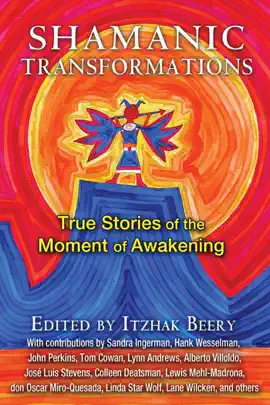 Read: Shamanic Transformations Book