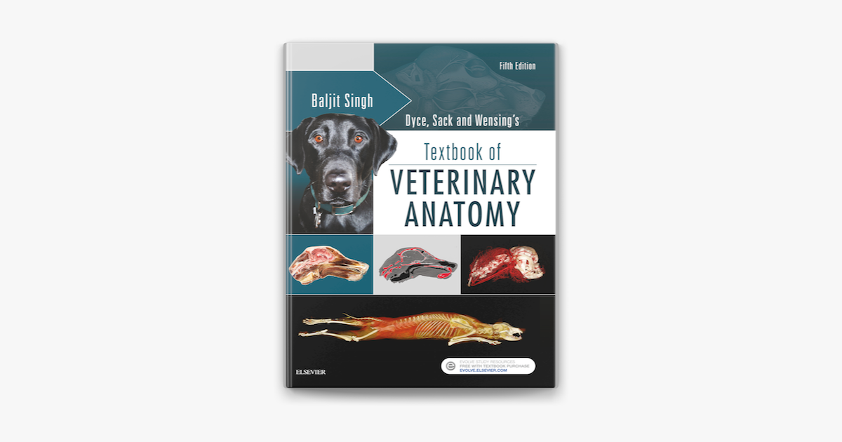 ‎Dyce, Sack And Wensing's Textbook Of Veterinary Anatomy By Baljit ...