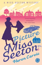 Picture Miss Seeton