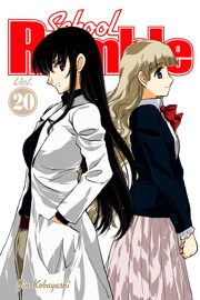 School Rumble Volume 20 - Jin Kobayashi