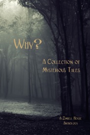 Why? A Collection of Mysterious Tales - Zimbell House Publishing