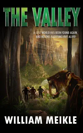 Read: Book The Valley