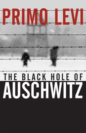 The Black Hole of Auschwitz - Primo Levi, Marco Belpoliti & Sharon Wood