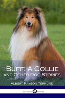 Buff: A Collie by Albert Payson Terhune