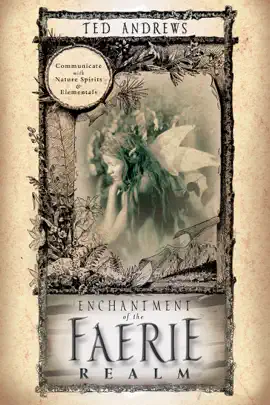Read: Book Enchantment of the Faerie Realm