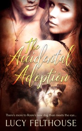 The Accidental Adoption - Lucy Felthouse