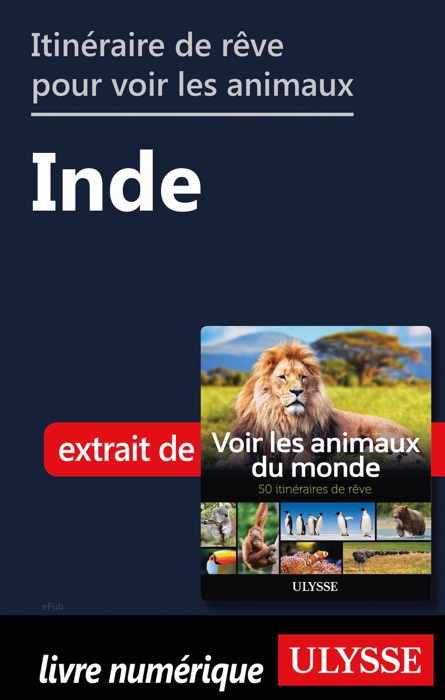 Itinéraire de rêve pour voir les animaux - Inde
