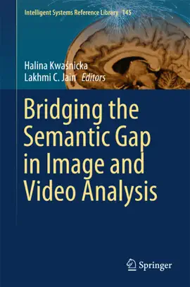 Read: Bridging Book the Semantic Gap in Image and Video Analysis