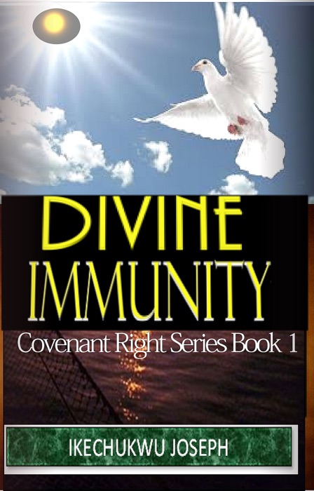 Divine Immunity