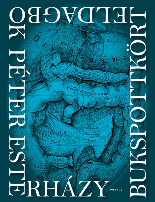 Bukspottkörteldagbok