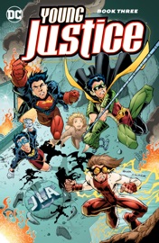 Young Justice Book Three - Peter David, Geoff Johns, Ben Raab, Chuck Dixon, Dwayne McDuffie, Todd Nauck, Sunny Lee, Cary Nord & Carlo Barberi