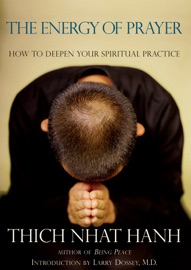 The Energy of Prayer - Thích Nhất Hạnh & Larry Dossey, MD