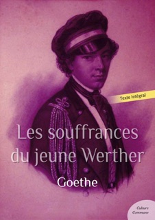 Les souffrances du jeune Werther by Goethe